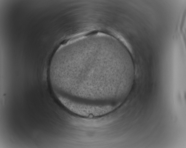 X0000088690010200706282012