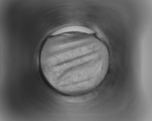 X0000088690011200706282012