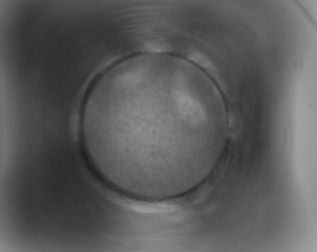X0000088690012200706282012