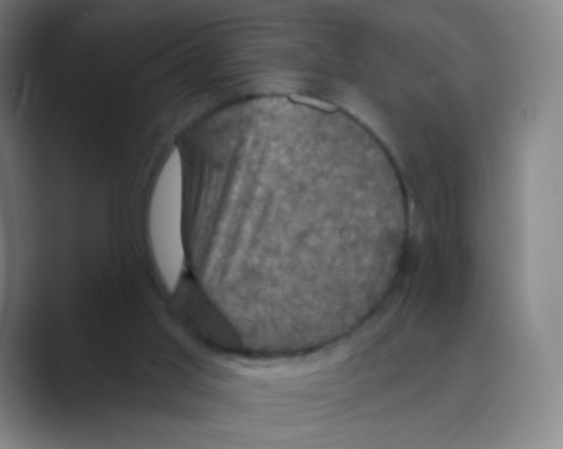 X0000088690013200706282012