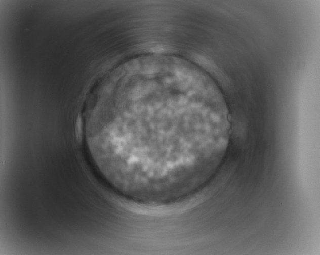 X0000088690014200706282012