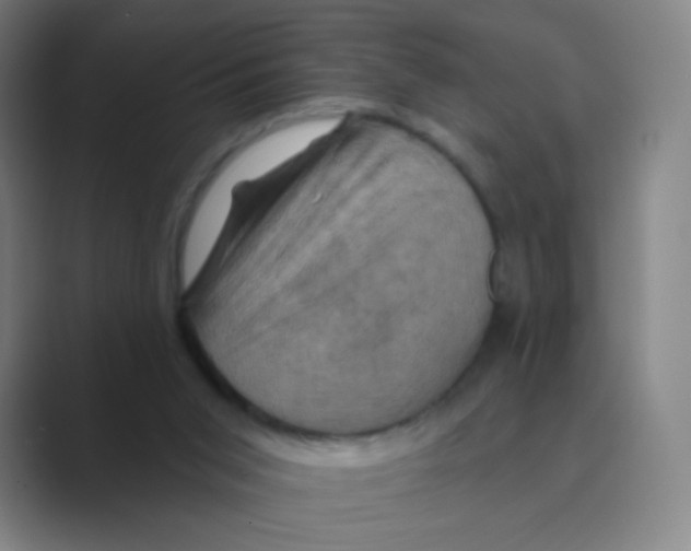 X0000088690015200706282012