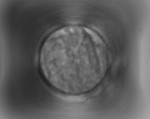 X0000088690016200706282012
