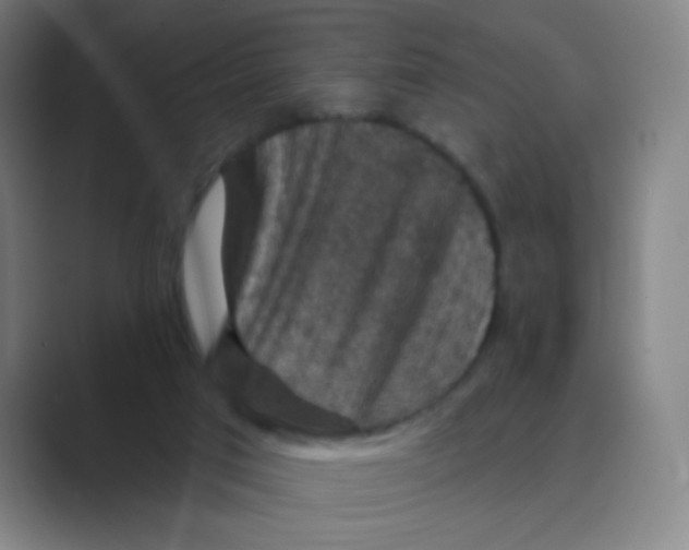 X0000088690017200706282012