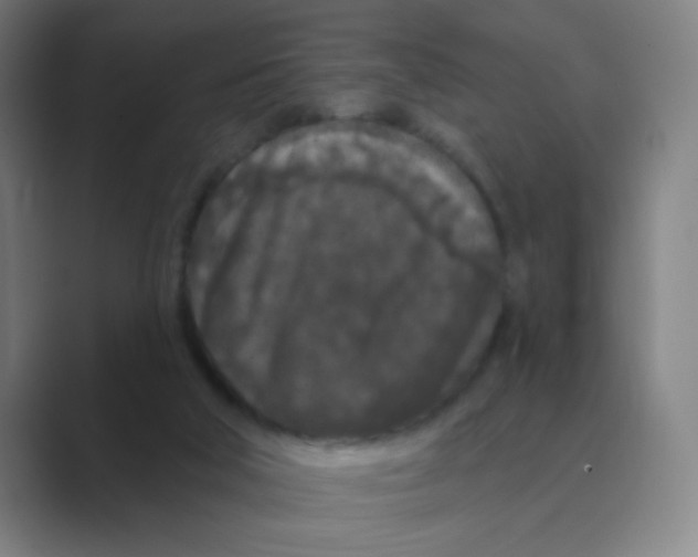 X0000088690018200706282012