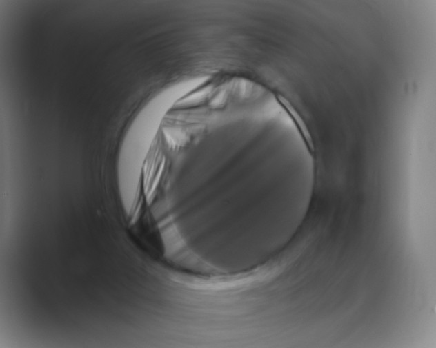 X0000088690019200706282012