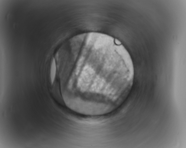 X0000088690020200706282012