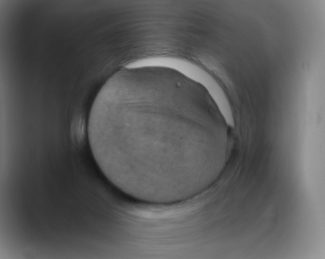 X0000088690021200706282012