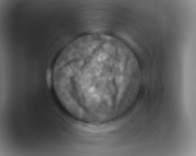 X0000088690022200706282012