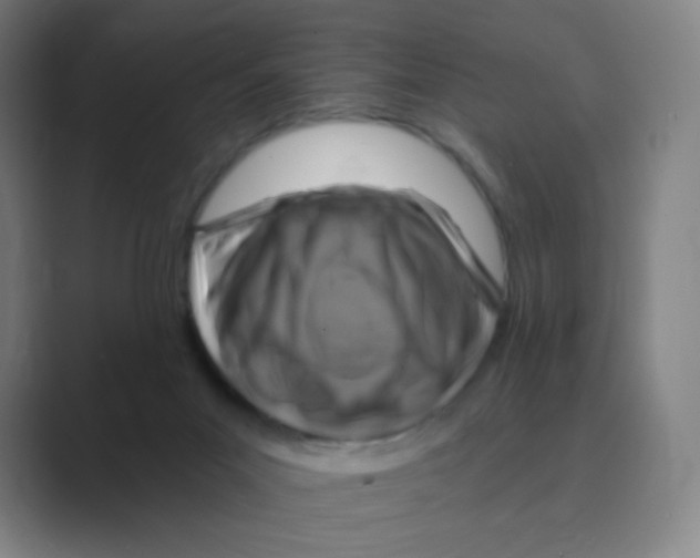 X0000088690023200706282012