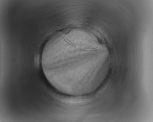 X0000088690024200706282012
