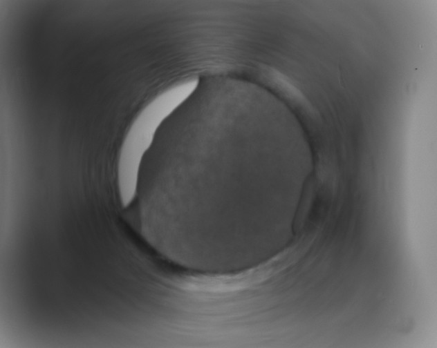 X0000088690025200706282012