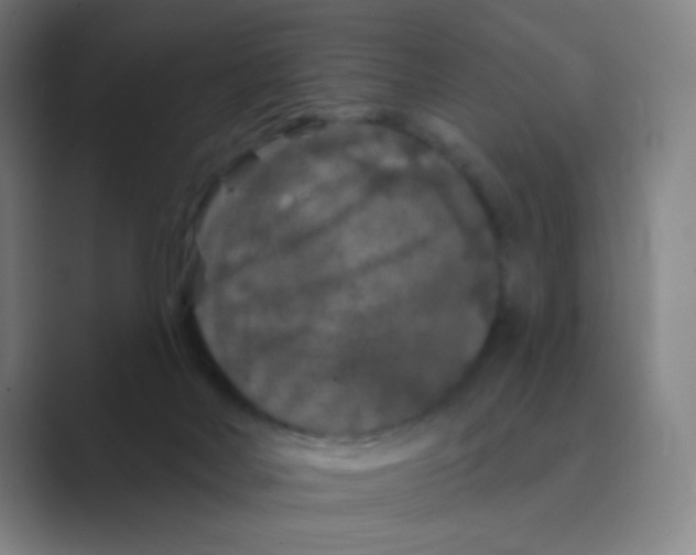 X0000088690026200706282012