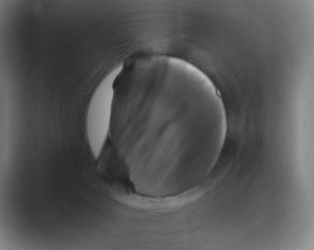 X0000088690027200706282011