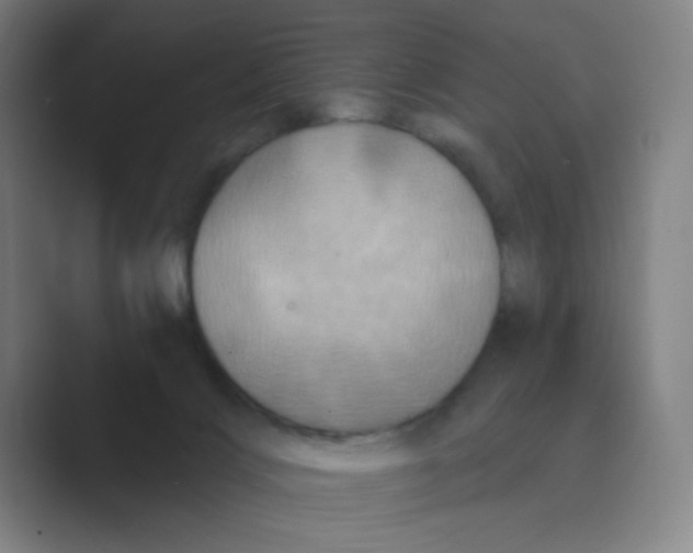 X0000088690028200706282011