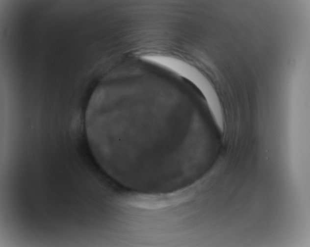 X0000088690029200706282011
