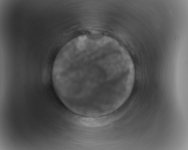 X0000088690030200706282011