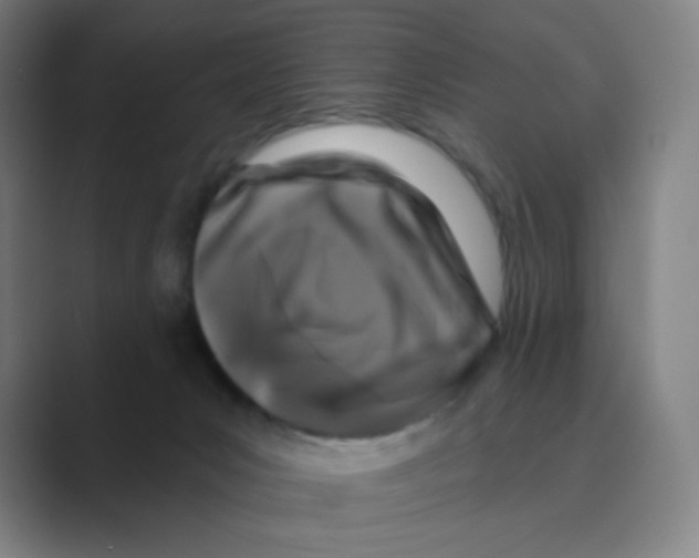 X0000088690031200706282011
