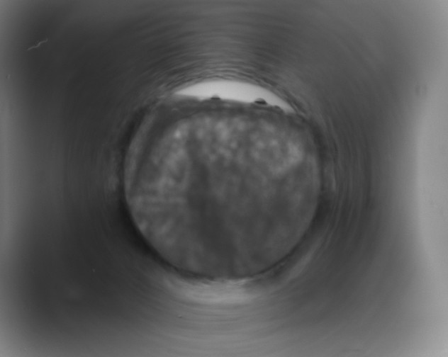 X0000088690032200706282011