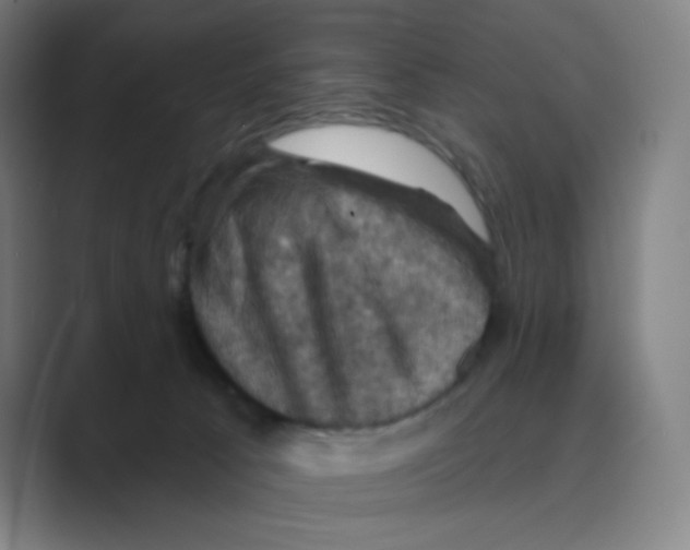 X0000088690033200706282011