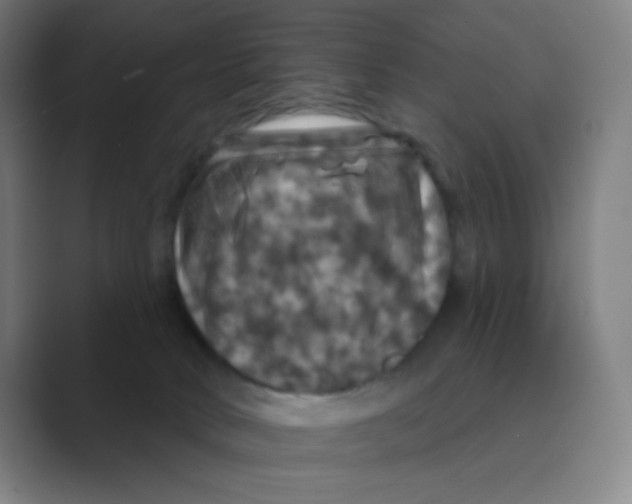 X0000088690034200706282011