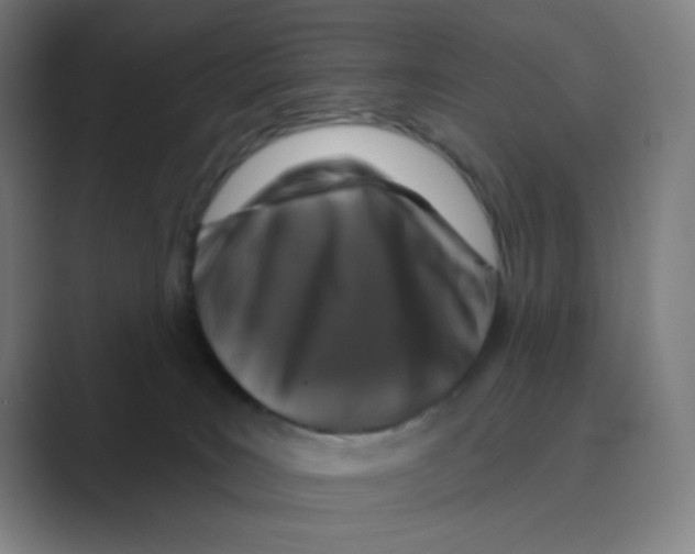 X0000088690035200706282011
