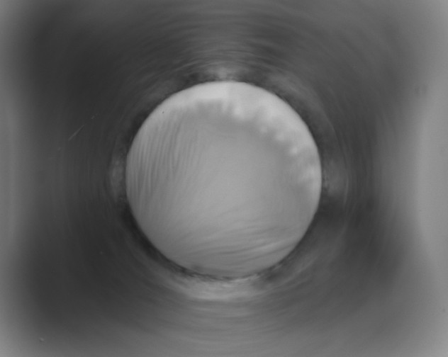 X0000088690036200706282011