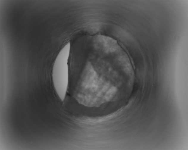 X0000088690037200706282011
