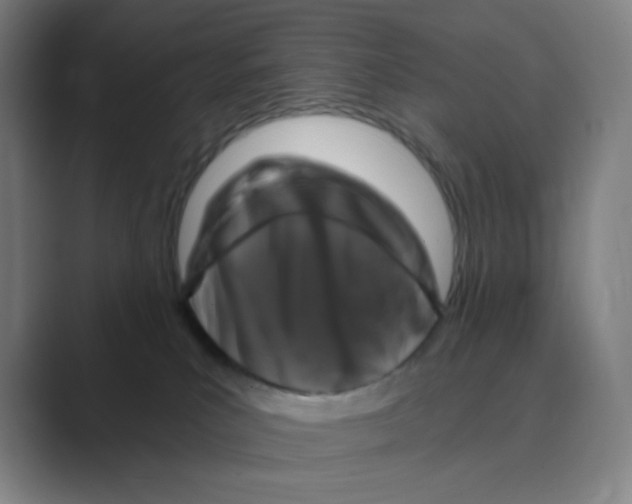 X0000088690039200706282011