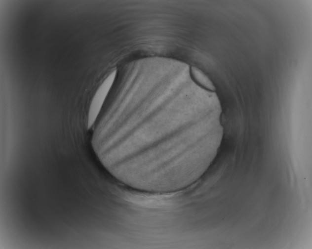 X0000088690040200706282011