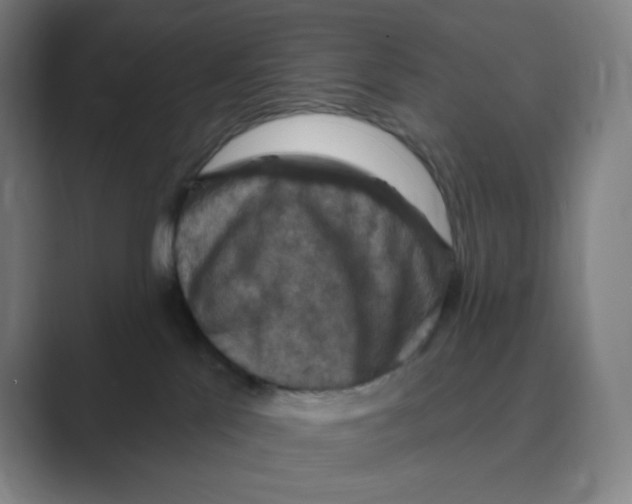X0000088690041200706282011