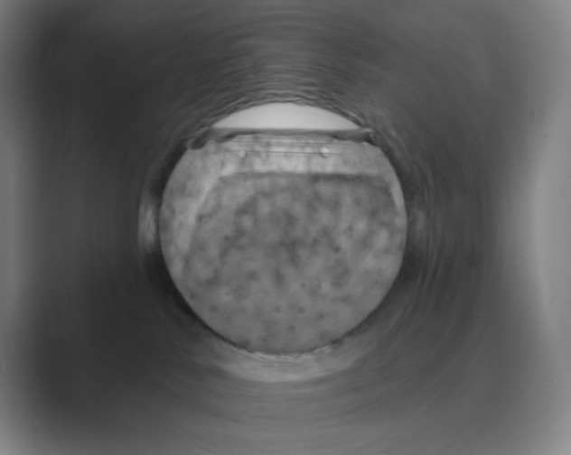 X0000088690042200706282011