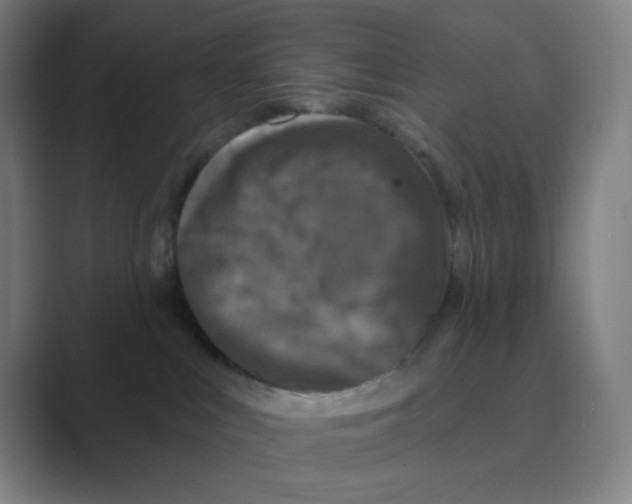 X0000088690043200706282011