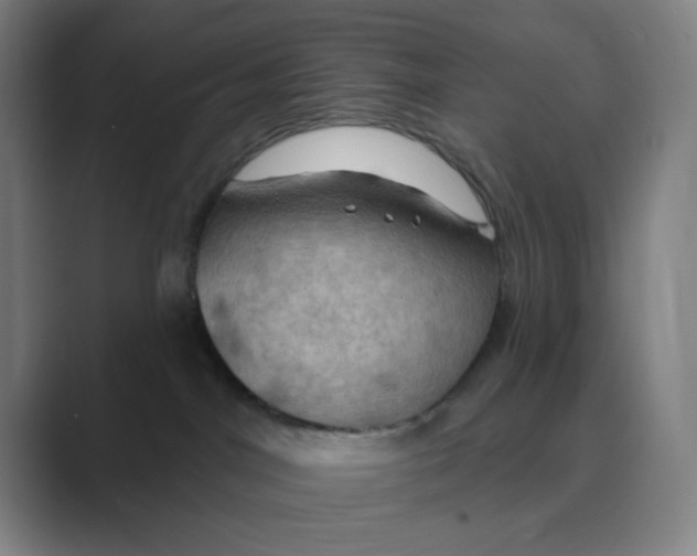 X0000088690044200706282011