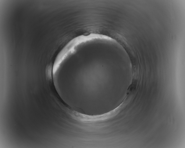 X0000088690047200706282011