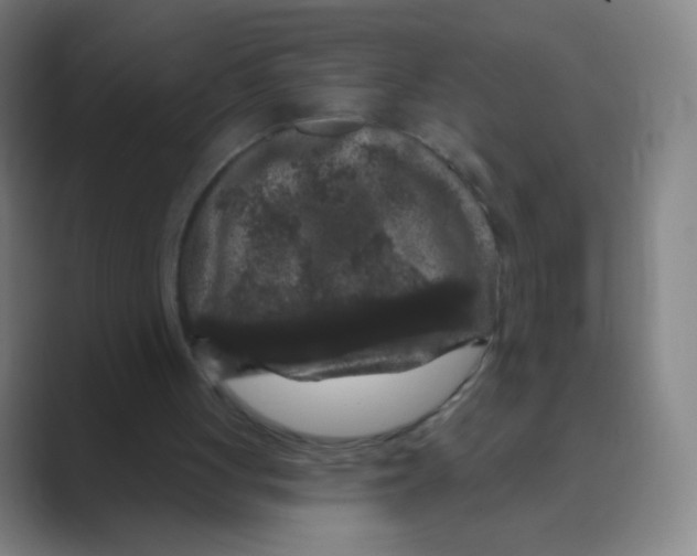 X0000088690051200706282010