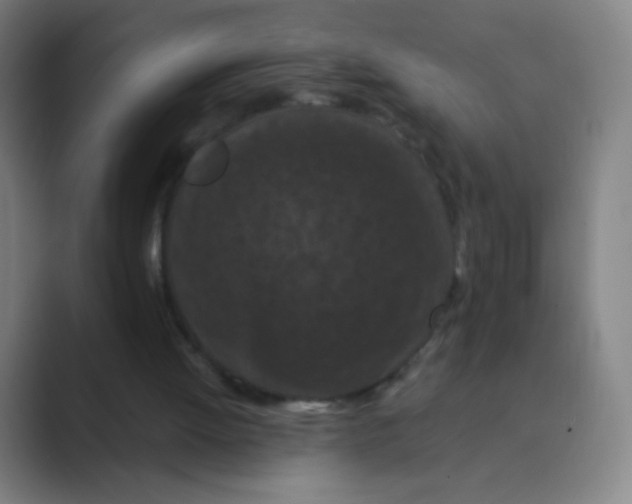 X0000088690052200706282010