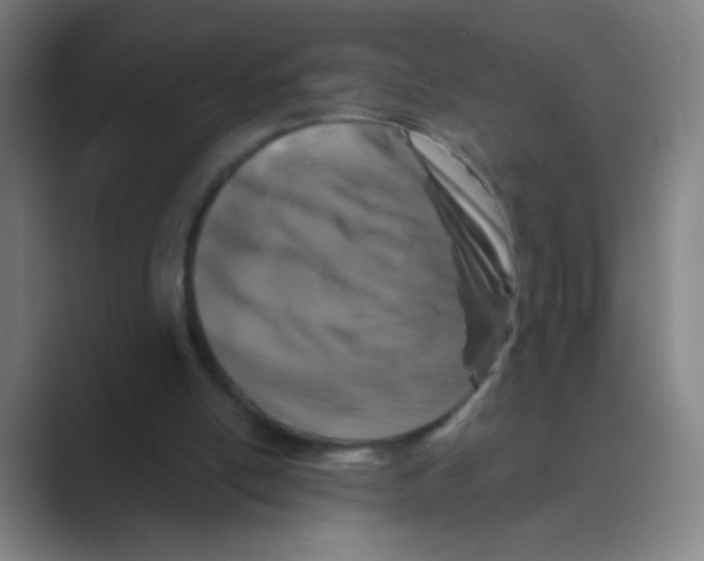 X0000088690054200706282010