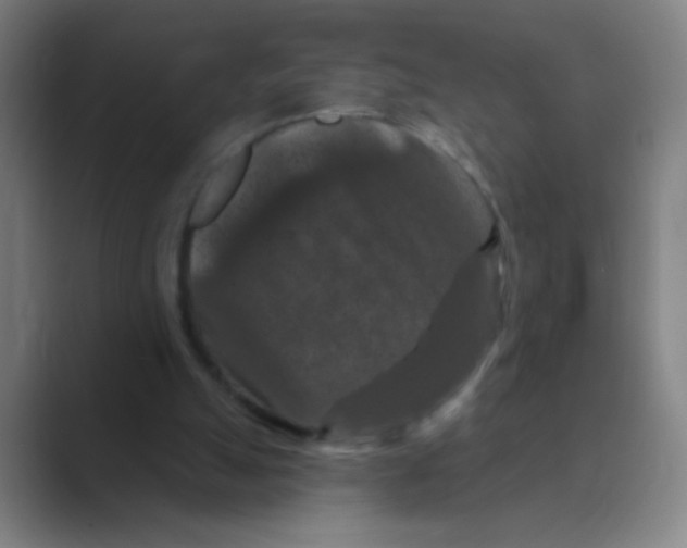 X0000088690055200706282011