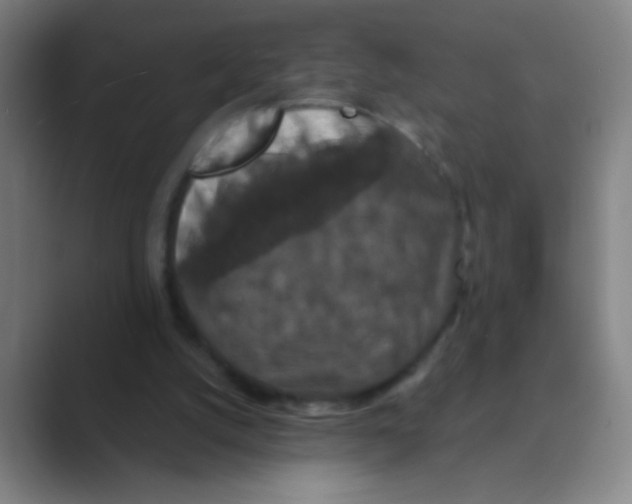 X0000088690056200706282011