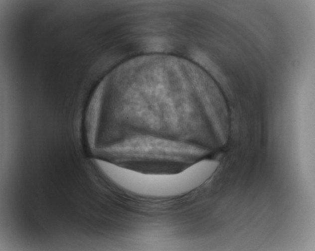X0000088690058200706282011
