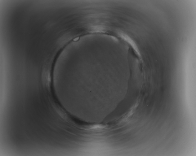 X0000088690059200706282011