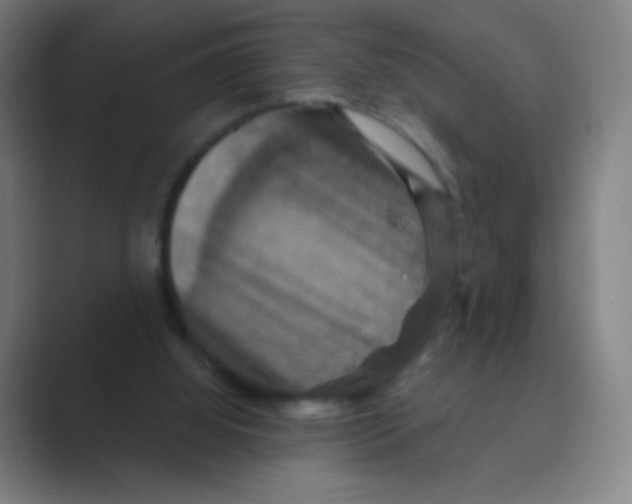X0000088690060200706282011