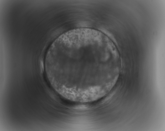 X0000088690061200706282011