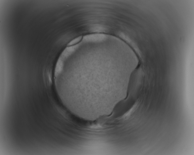 X0000088690062200706282011