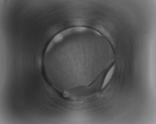 X0000088690063200706282011