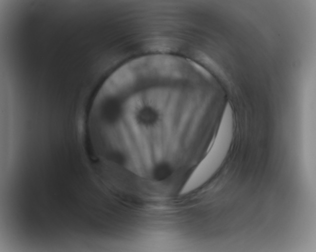 X0000088690064200706282011