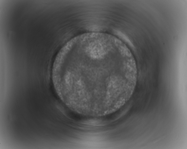 X0000088690065200706282011