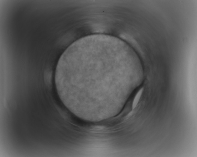 X0000088690066200706282011