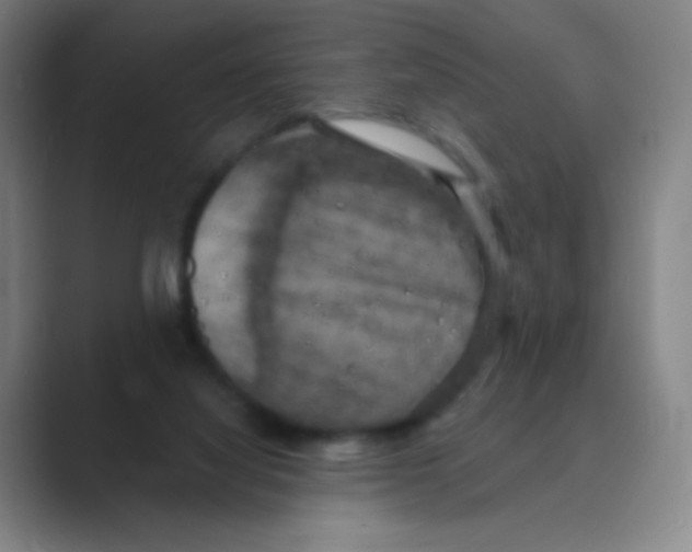 X0000088690068200706282011